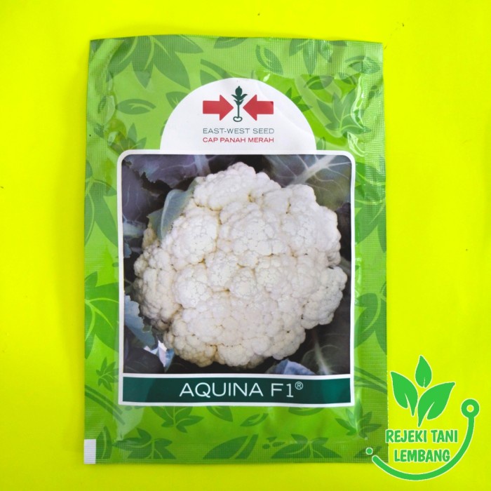 Fresh Flower Benih Brokoli//Benih Brokoli Aquina F1 Cap Panah Merah 10Gr