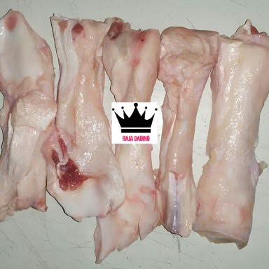 

Urat Shankle Sapi / Urat Tendon Sapi