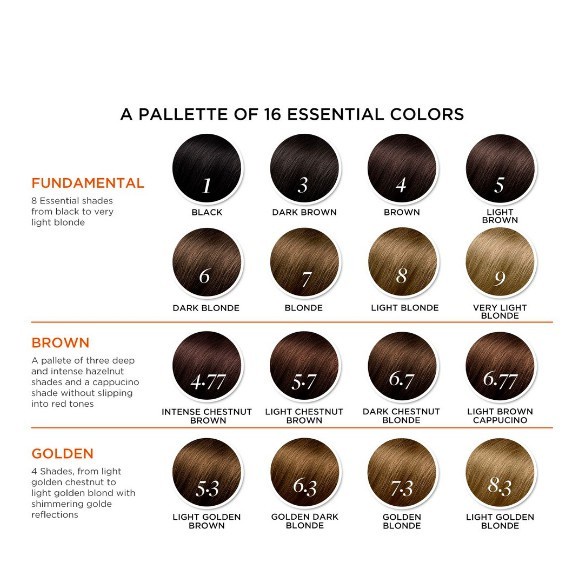 Phyto Phytocolor Ammonia-Free and Permanent Botanical Hair Color