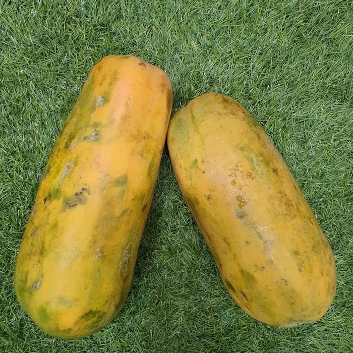 

BisaInstan- PEPAYA CALIFORNIA (pcs 1.3-1.4kg)