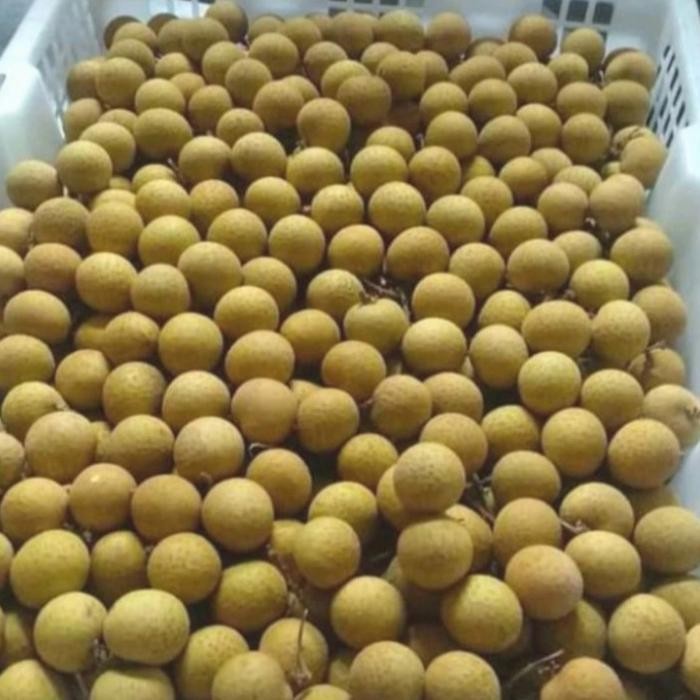 

BisaInstan- klengkeng