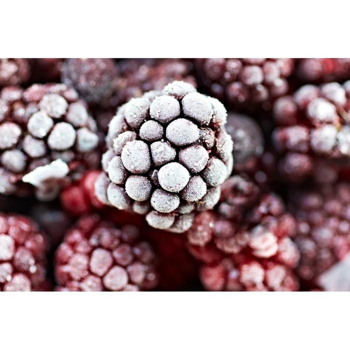 

BisaInstan- Frozen Blackberry Import IQF 1 Kg / Buah Beku Blackberry Import