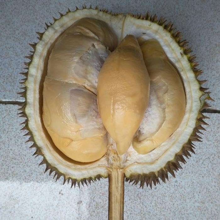 

BisaInstan- Durian utuh sedang