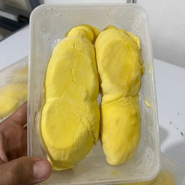 

BisaInstan- DURIAN MONTONG SULAWESI