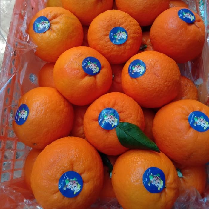 

BisaInstan- Jeruk Wogan Wokam Ponkam Mandarin Manis Segar Fresh 1 kg