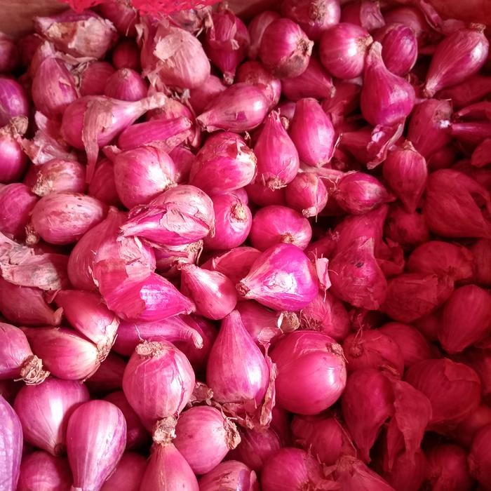 

BisaInstan- BAWANG MERAH BESAR per KG