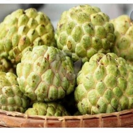 

BisaInstan- buah sikaya 1kg