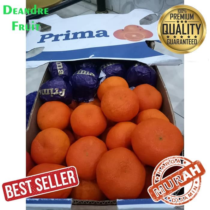 

BisaInstan- Buah Jeruk Murcot import Harga DIJAMIN MURAH DIBAWAH PASARAN TERMURAH