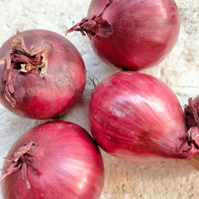 

BisaInstan- jual bawang Bombay merah 1 kg