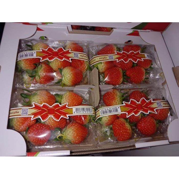 

BisaInstan- buah strawberry import korea australia jumbo xxl
