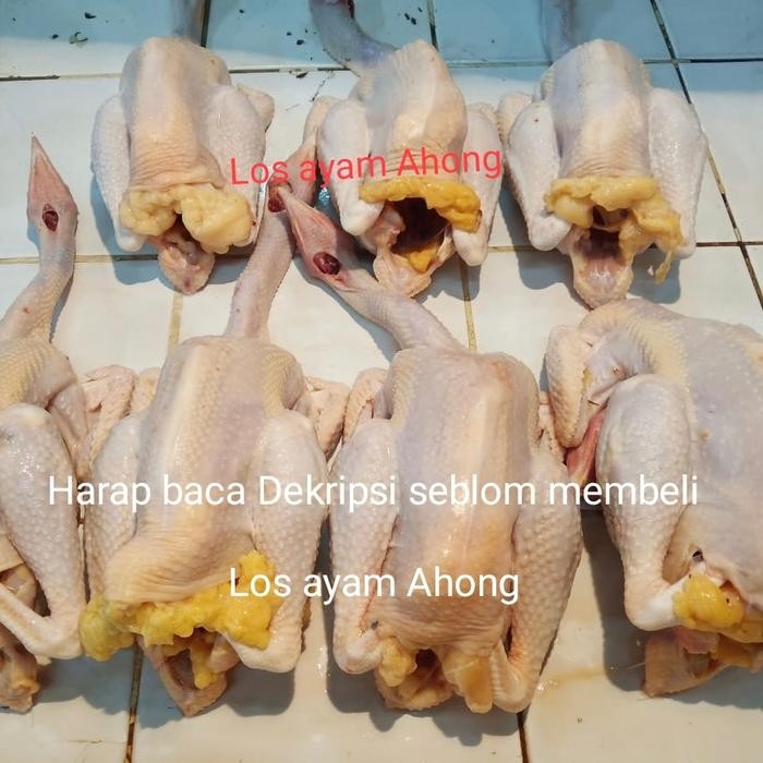 

Kirim,HariYgSama- Ayam kampung asli fresh