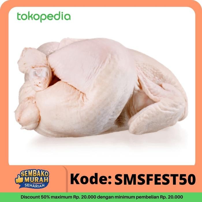 

Kirim,HariYgSama- Daging ayam broiler utuh dijamin fresh segar