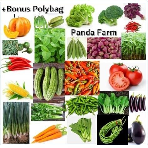 Paket Benih 27 Jenis Sayuran Super Hemat Terkomplit Bonus Polybag Benih Sayuran