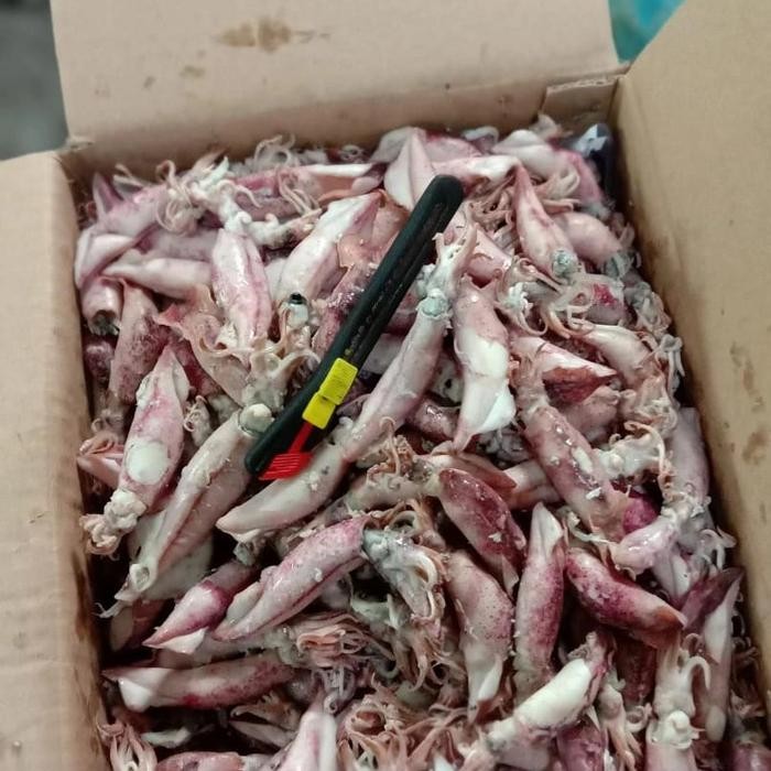 

NewZbgt- ikan asin cumi sontong beku per 500gr