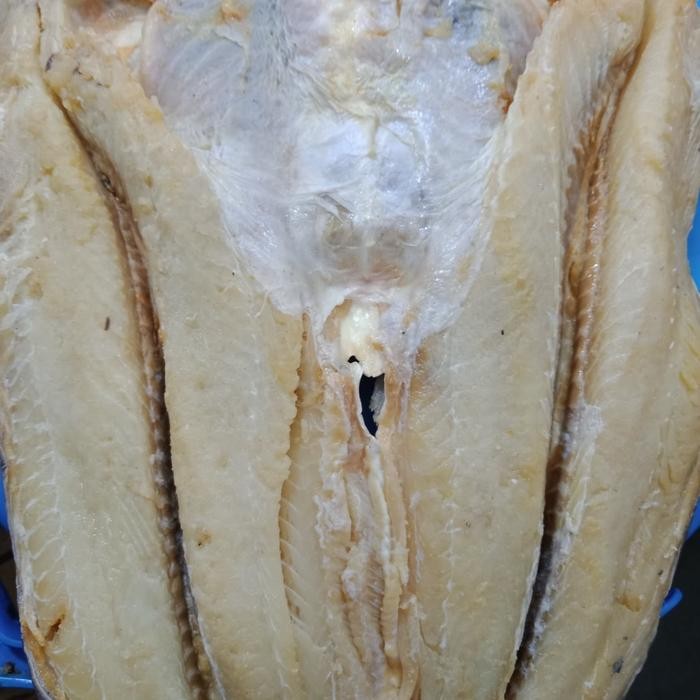 

NewZbgt- Ikan Asin Jambal 500gram