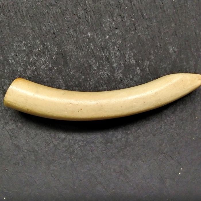 Promo iga duyung lawas