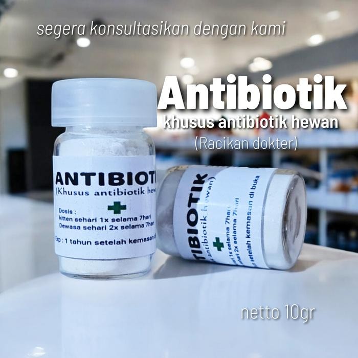 Antibiotik hewan obat antibiotik kucing obat antibiotik khusus hewan p