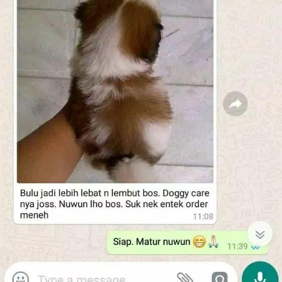 JTTOP" VITAMIN ANJING PENGGEMUK VITAMIN BULU ANJING OBAT ANJING BULU RONTOK