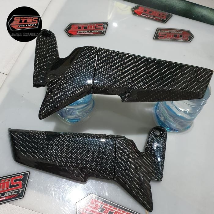 SPION WINGLET F22 RAPTOR MATIC.NAKED SPORT BIKE MODEL H2R STMS PROJECT