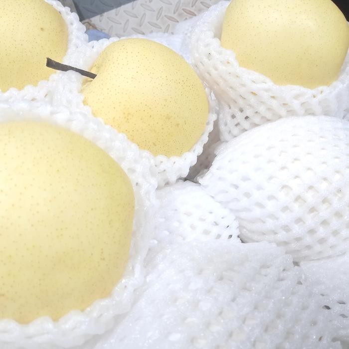 

New buah pear golden baby 1 kg