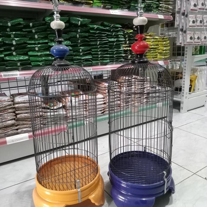 kandang kapsul lovebird kecil sankar burung terbaru