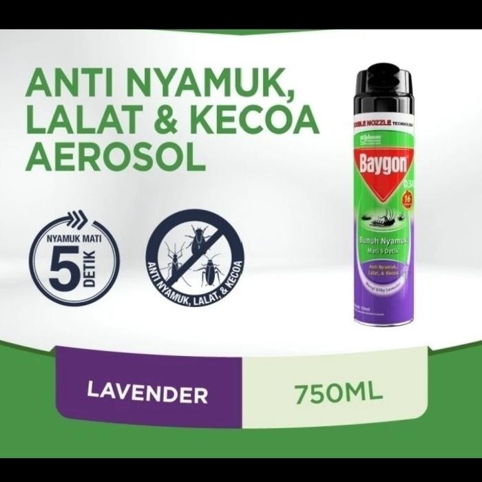 Baygon Aerosol