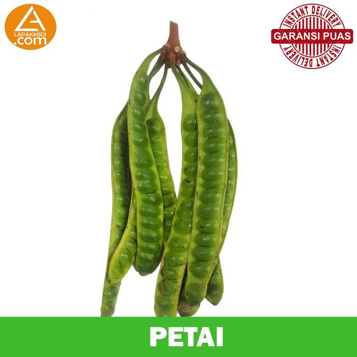 

Pete Petai 1 Papan Sayur Segar Garansi Termurah *