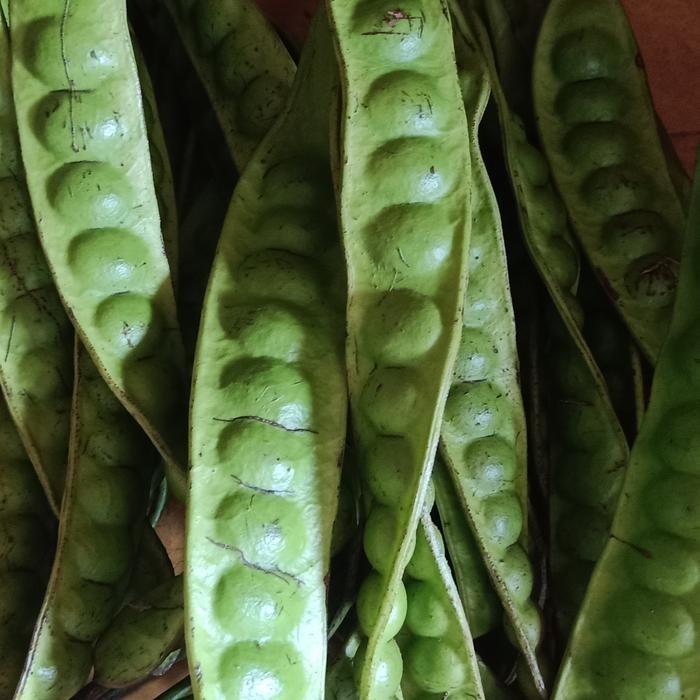 

petai segar super ada manis manisnya *