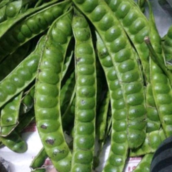 

Pete / Petai Per Papan Segar *