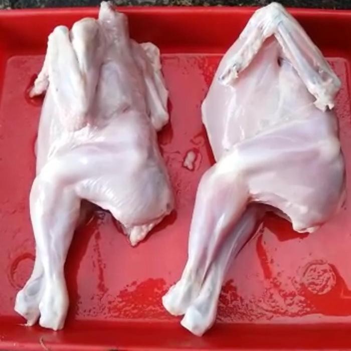 

BeliSkrg,KirimHariini- ayam pejantan kupas kulit untuk resto padang berat hidup 6 ons