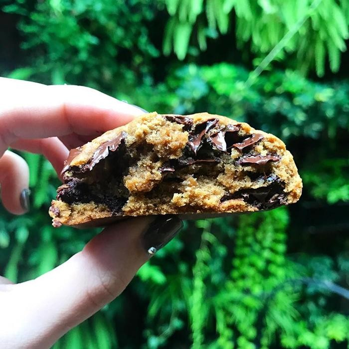 

PastikanDikirimLgsg- Dough Lab - Flower Child