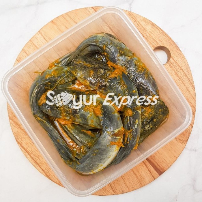 

PastikanDikirimLgsg- KIRIM INSTAN Lele Bumbu Kuning 10 ekor