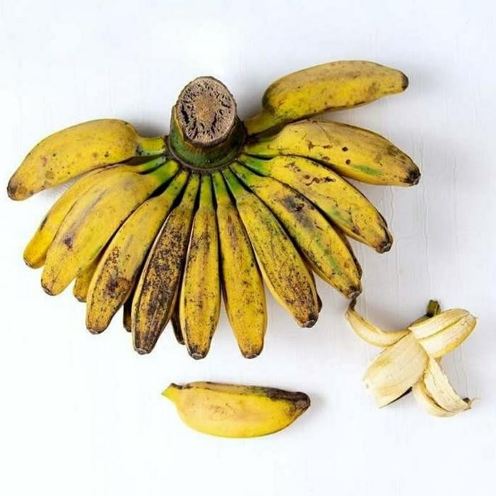 

PastikanDikirimLgsg- Pisang Kepok per 1 sisir - Buah Segar