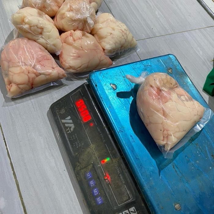 Lemak Biyawak Umpan Galatama Lele