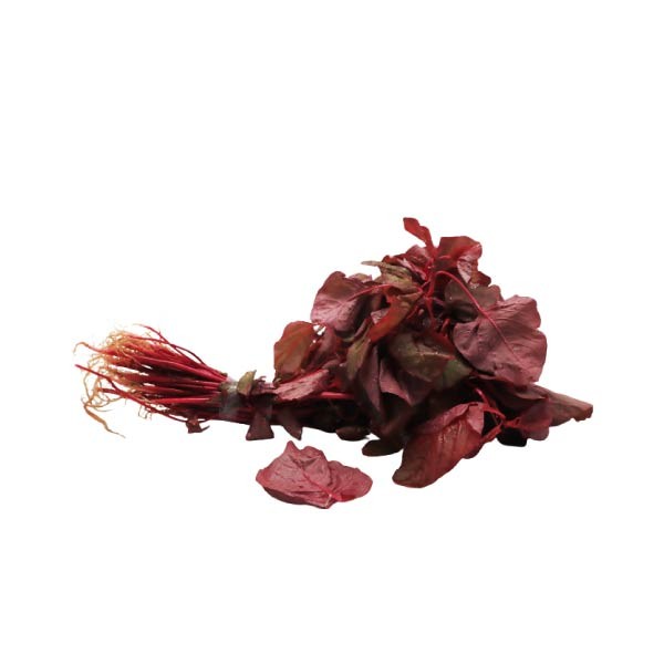 

DAUN BAYAM MERAH 200 GR