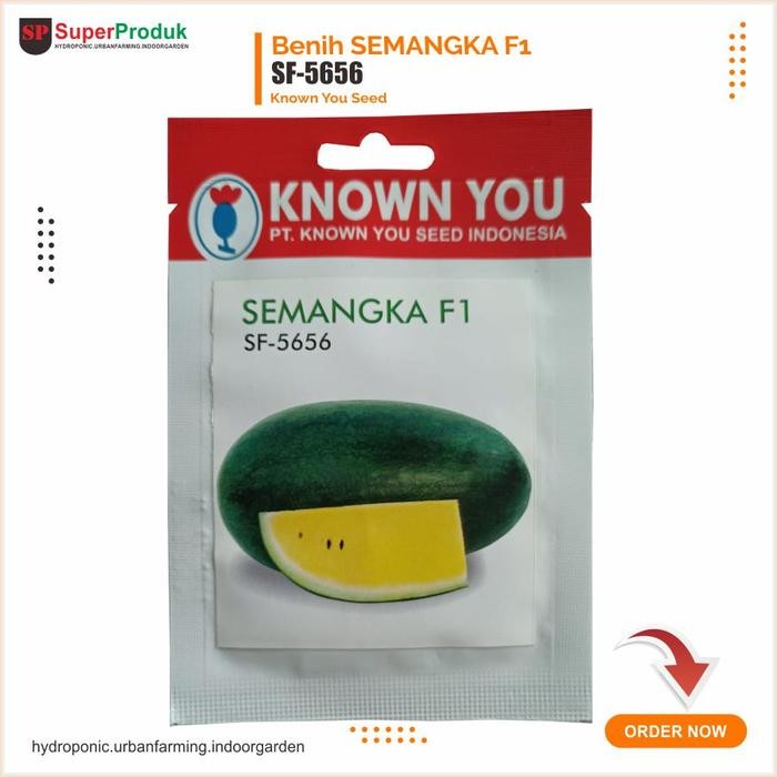 Evergreeeen Benih Semangka Sf 5656 Melina Known You Seed