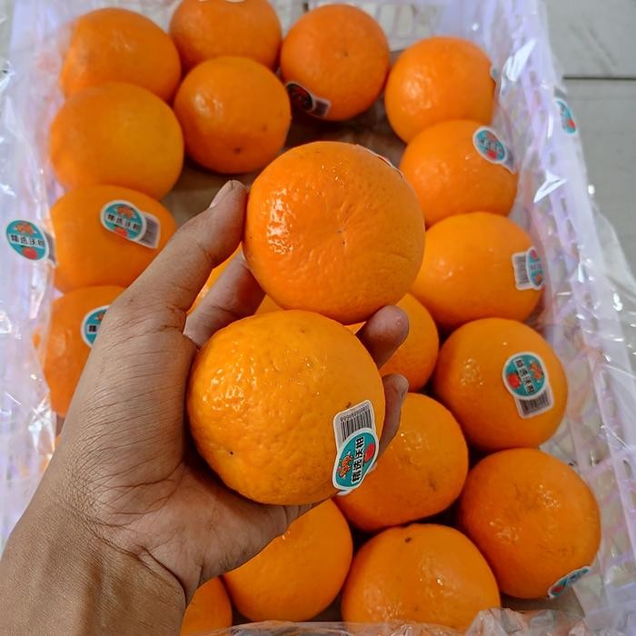 

Terlaris (1 KRAT) JERUK WOKAM MURCOT / JERUK MANDARIN / JERUK MANIS /BUAH SEGAR Terbaru
