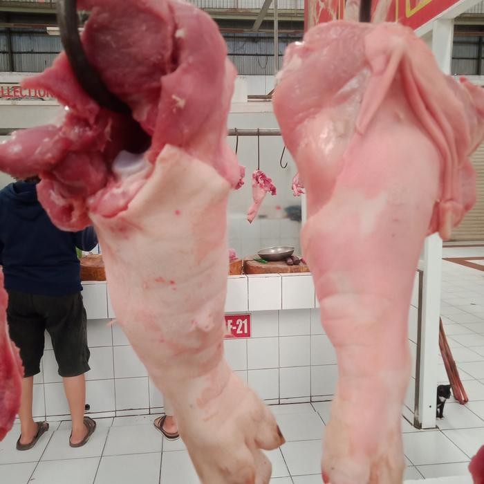 

BnyKBonusBelidiMari- Kaki Besar Babi