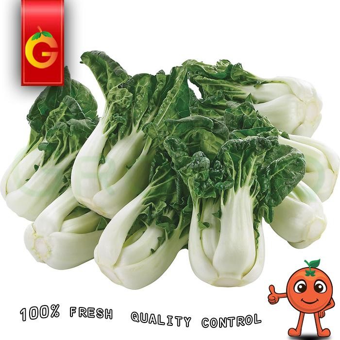 

BnyKBonusBelidiMari- Sayur Baby Bokchoy Fresh 250 Gram