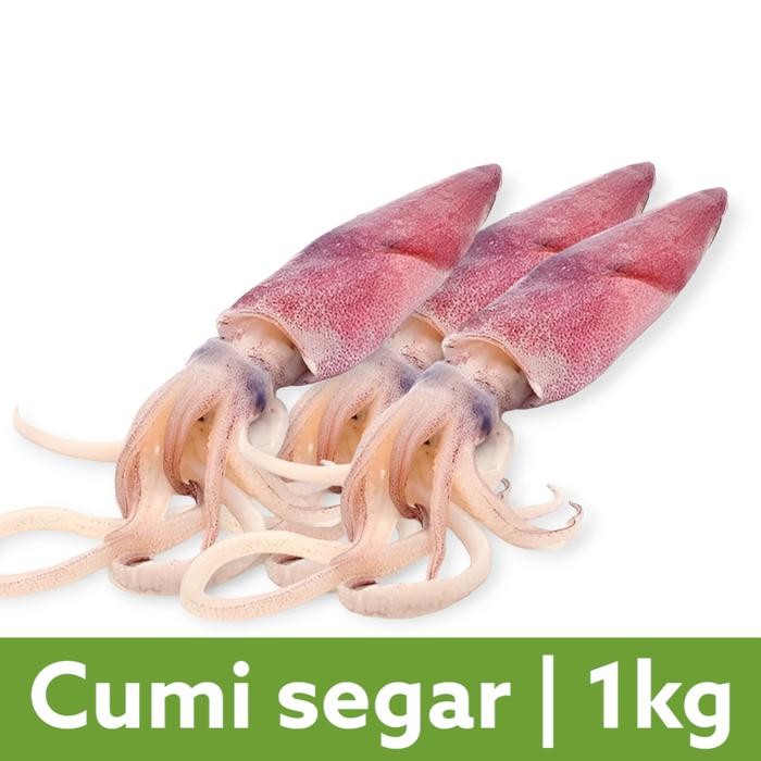 

PastiFreShNya- cumi laut fresh