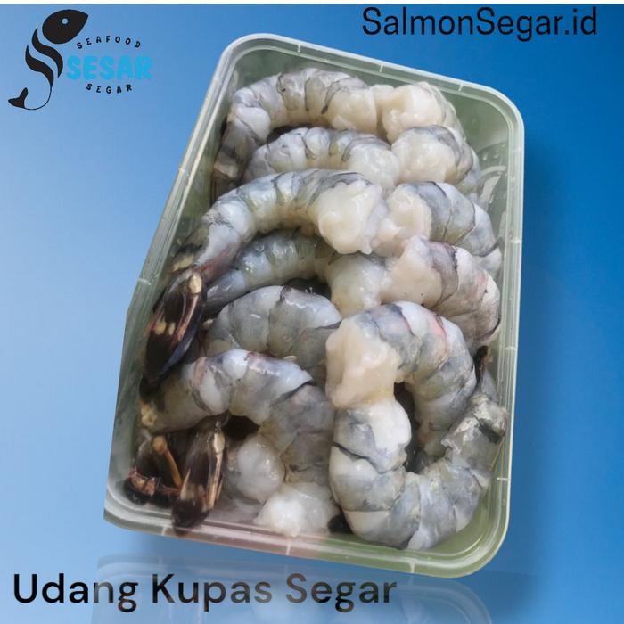 

PastiFreShNya- udang kupas segar - udang pacet tiger kupas segar [Premium] Jumbo