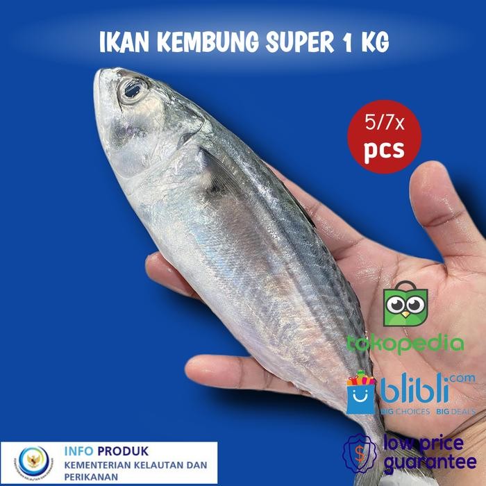 

PastiFreShNya- IKAN KEMBUNG SEGAR 1 KG