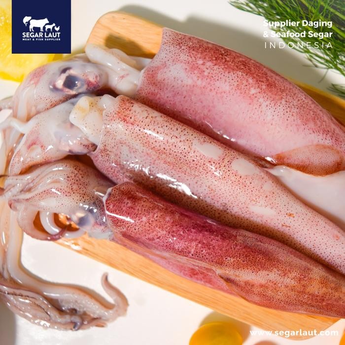 

BnyKBonusBelidiMari- Cumi Bangka Besar & Super Fresh & Segar