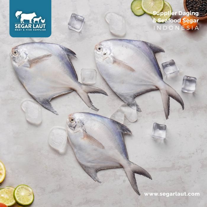 

PastiFreShNya- Ikan Bawal Putih FRESH