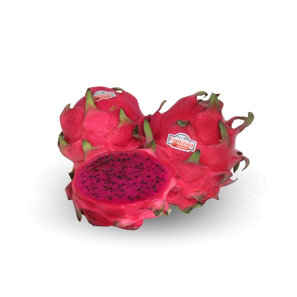 

Fantasia Buah Naga Purple Super Konvensional 1 pcs