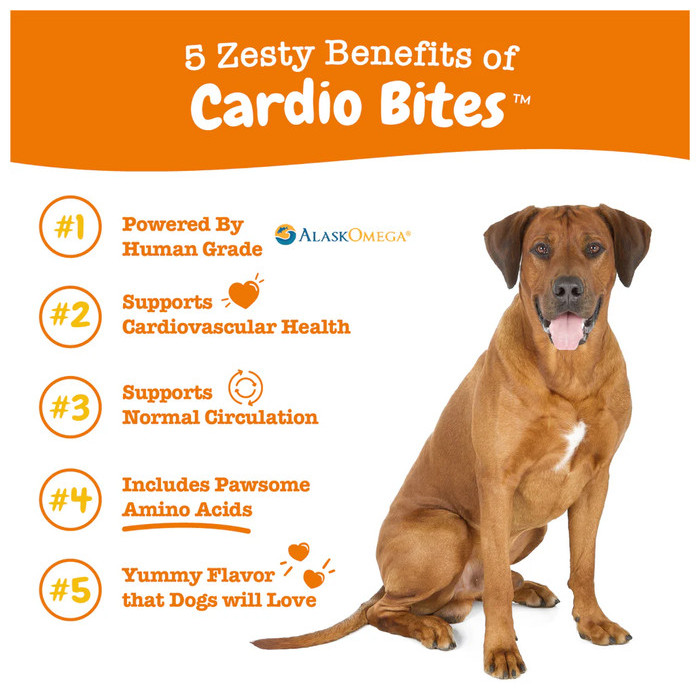 Zesty Paws Cardio Bites Salmon Flavor 90 Chews Antioxidant Supplement Anjing