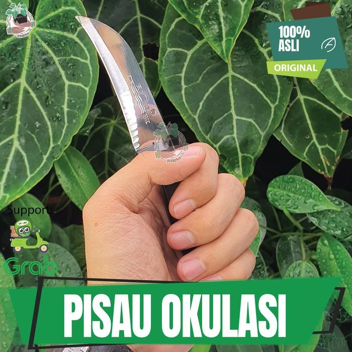 SALE PISAU OKULASI TANAMAN HIAS BUAH CANGKOK SAMBUNG PUCUK TAJAM ORI RUI