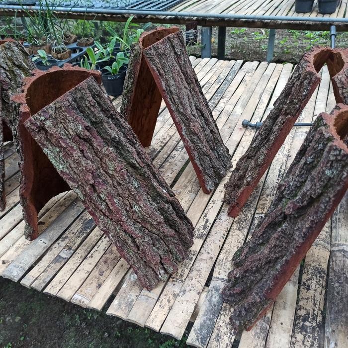 New Media Tanam Anggrek Tempel Kulit Kayu Pinus 35 x 20