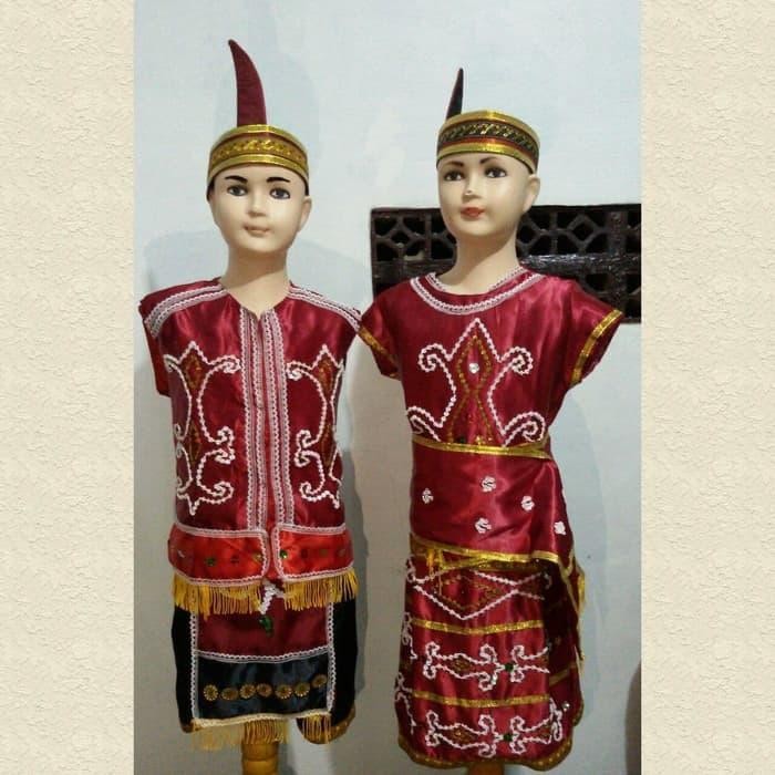 baju pakaian adat kalimantan barat dayak dewasa