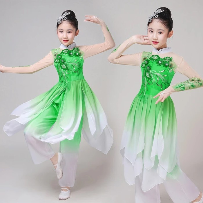 Classical dance costumes adult elegant Jasmine Folk Dance Yangko fan